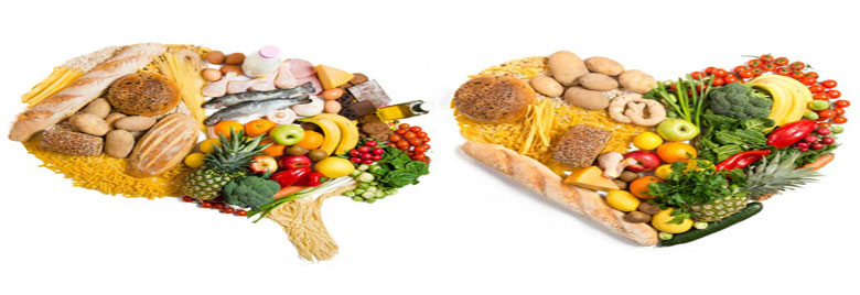 موسوعة الفراشة